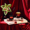 Decorative setup with a candle, diffuser, and plant on a red fabric background