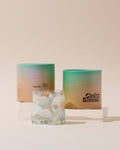 Cactus + Aloe Candle No. 6