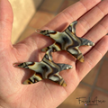 French Amie Star Fish Small Hair Clips Cellulose Acetate Beach Barrette Slide Set of 2: Tokyo
