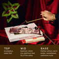Person lighting incense on a book with a red curtain and green leaf in the corner.