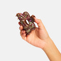 Hand holding a decorative chocolate piece against a white background