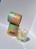 Cactus + Aloe Candle No. 6