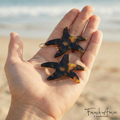 Red Sea Star Hair clips