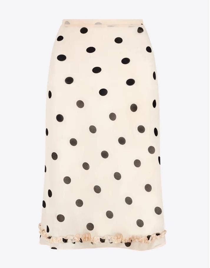 Polka dot skirt with a white background