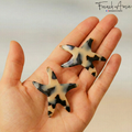 French Amie Star Fish Small Hair Clips Cellulose Acetate Beach Barrette Slide Set of 2: Tokyo