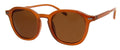 Pleasing - Sunglasses: Tortoise