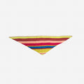 Multi Stripe Triangle Scarf: Sport